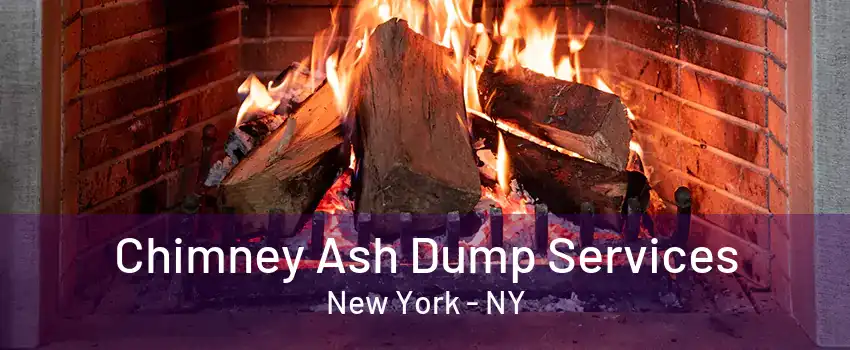  Chimney Ash Dump Services New York - NY
