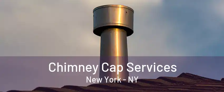  Chimney Cap Services New York - NY