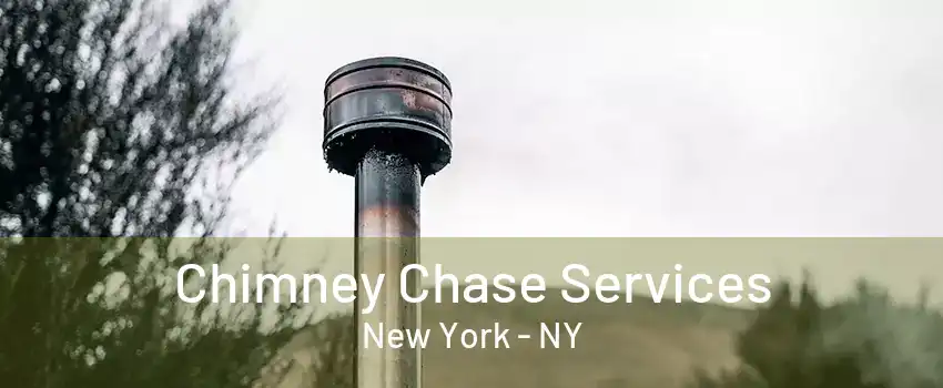  Chimney Chase Services New York - NY