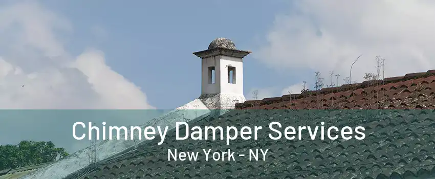  Chimney Damper Services New York - NY