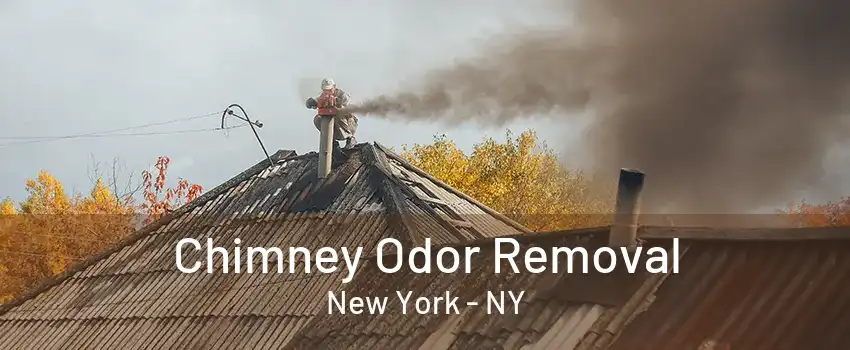  Chimney Odor Removal New York - NY