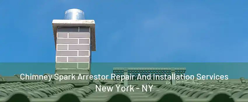  Chimney Spark Arrestor Repair And Installation Services New York - NY