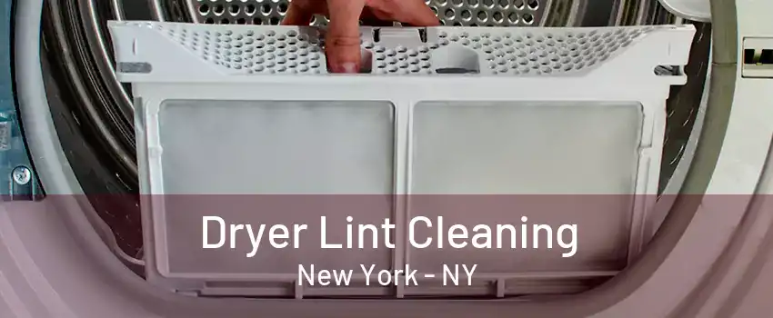  Dryer Lint Cleaning New York - NY