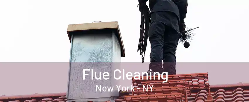  Flue Cleaning New York - NY
