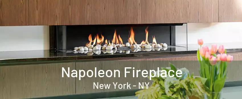  Napoleon Fireplace New York - NY