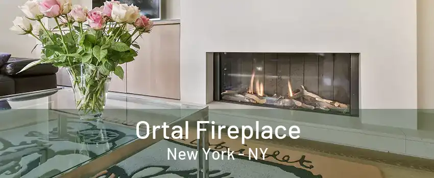 Ortal Fireplace New York - NY